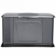 ������� ��������� Briggs&Stratton G140