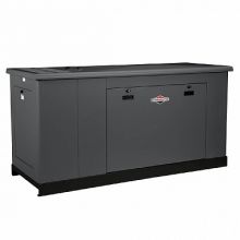 ������� ��������� Briggs&Stratton G290