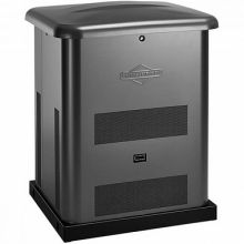 ������� ��������� Briggs&Stratton G60
